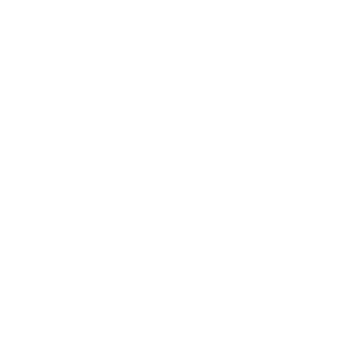 AON-logo-branca-3.png