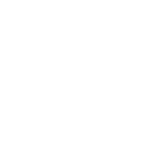 Caltim-logo-branca-2.png