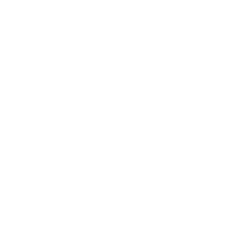 Viva-Food.png